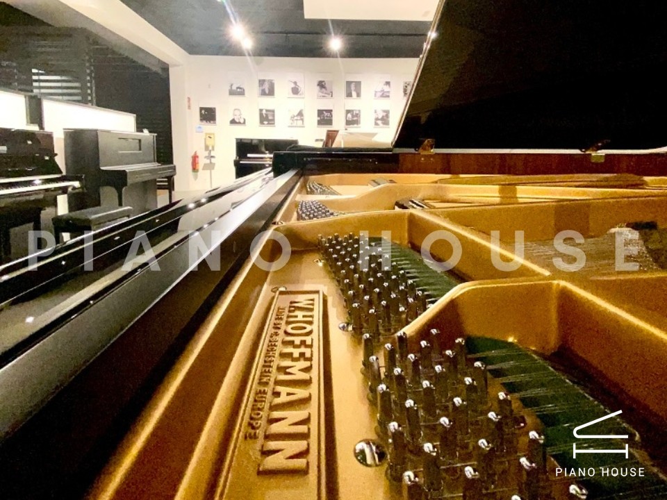 navy ostrich watch bands (4)