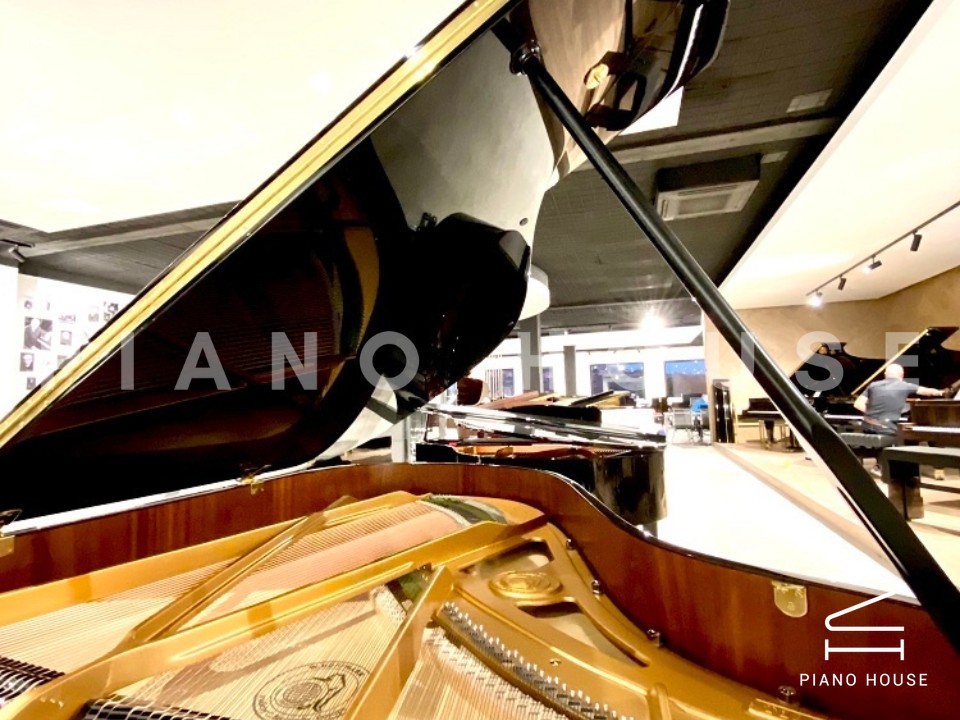 navy ostrich watch bands (4)