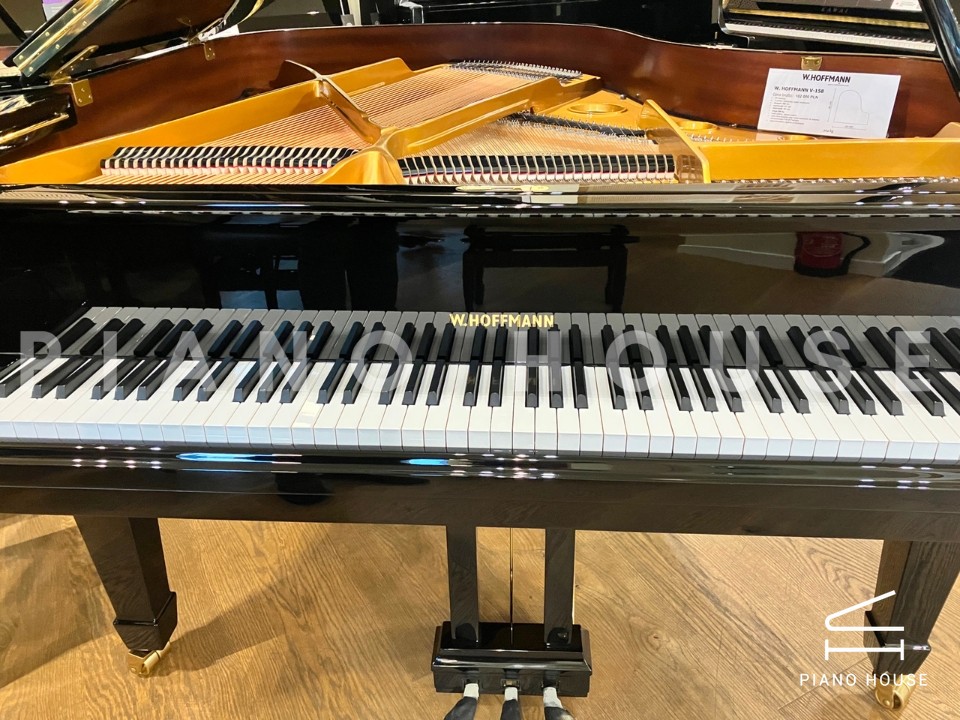 navy ostrich watch bands (4)