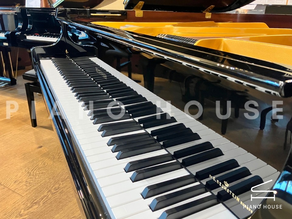 navy ostrich watch bands (4)