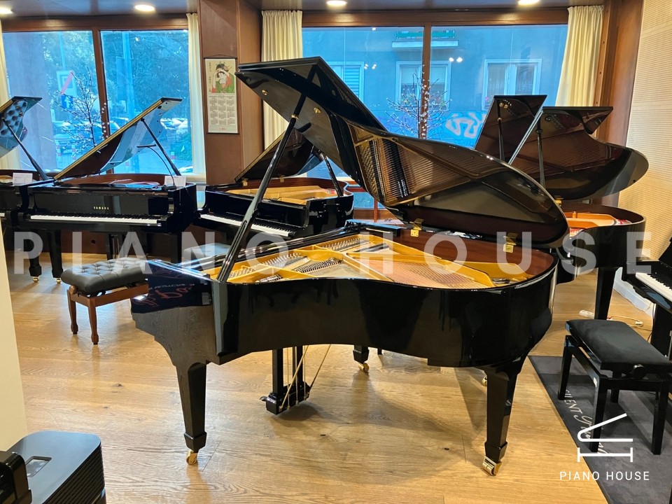 navy ostrich watch bands (4)