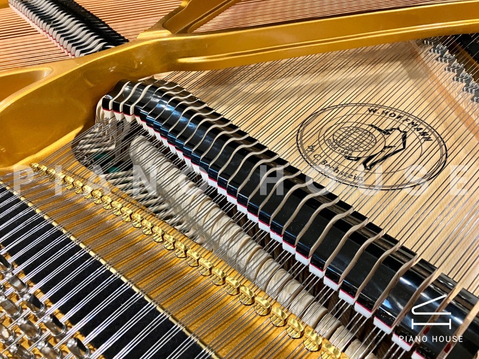 navy ostrich watch bands (4)