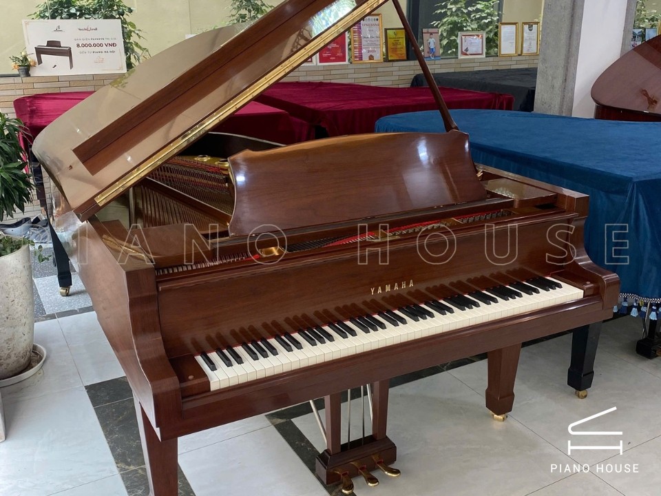 navy ostrich watch bands (4)