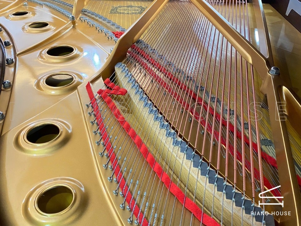 navy ostrich watch bands (4)