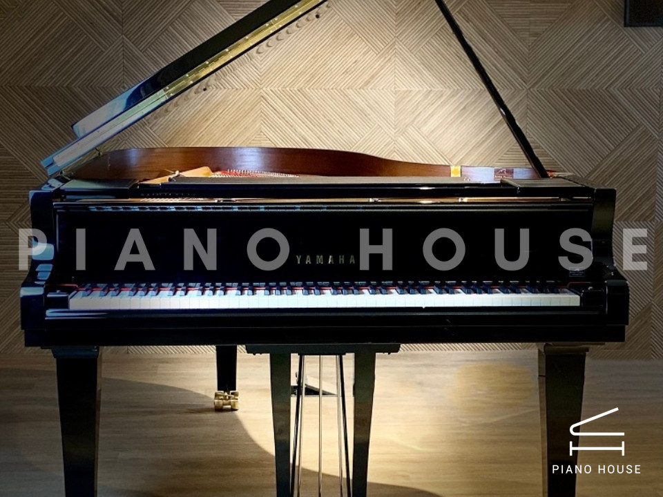 navy ostrich watch bands (4)