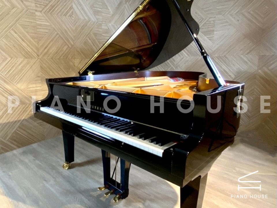 navy ostrich watch bands (4)