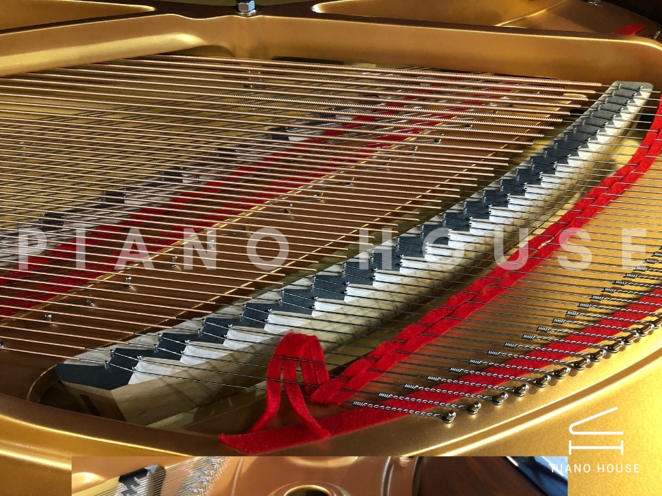 navy ostrich watch bands (4)