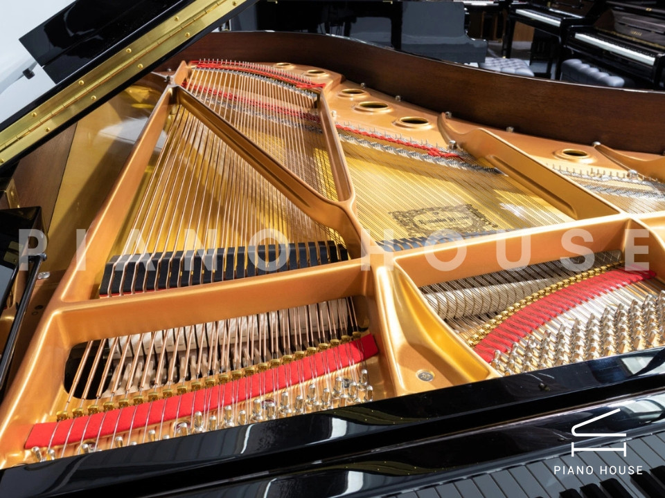 navy ostrich watch bands (4)
