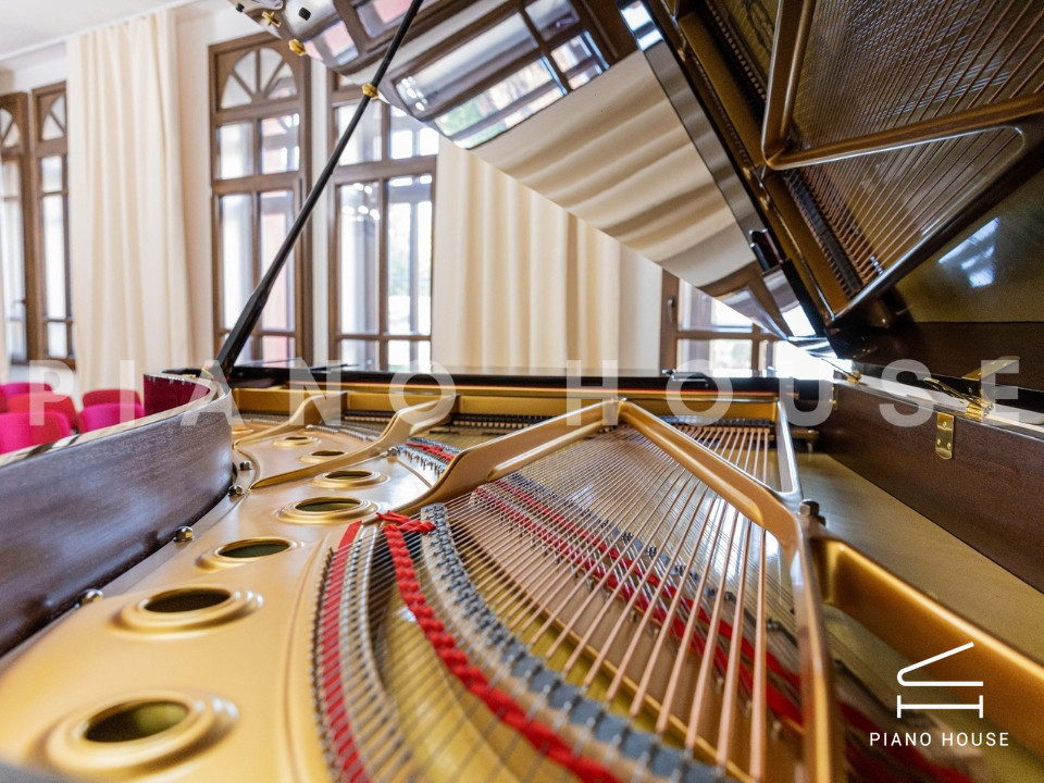 navy ostrich watch bands (4)