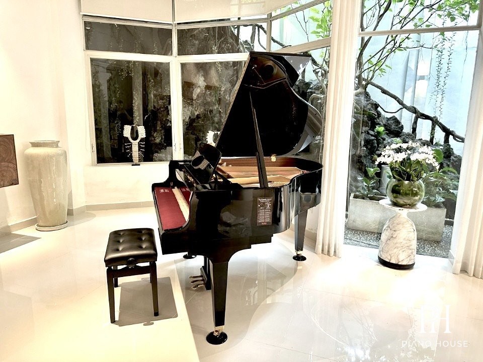 KAWAI GL20 PE