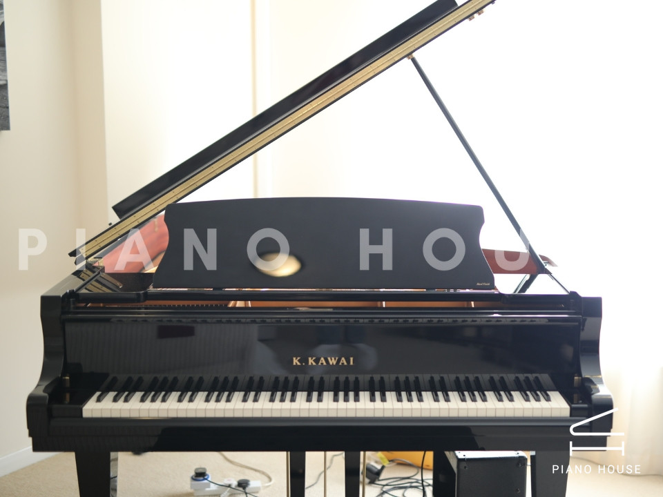 navy ostrich watch bands (4)