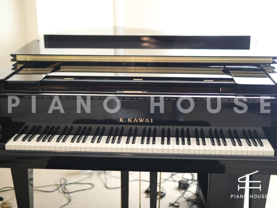 navy ostrich watch bands (4)