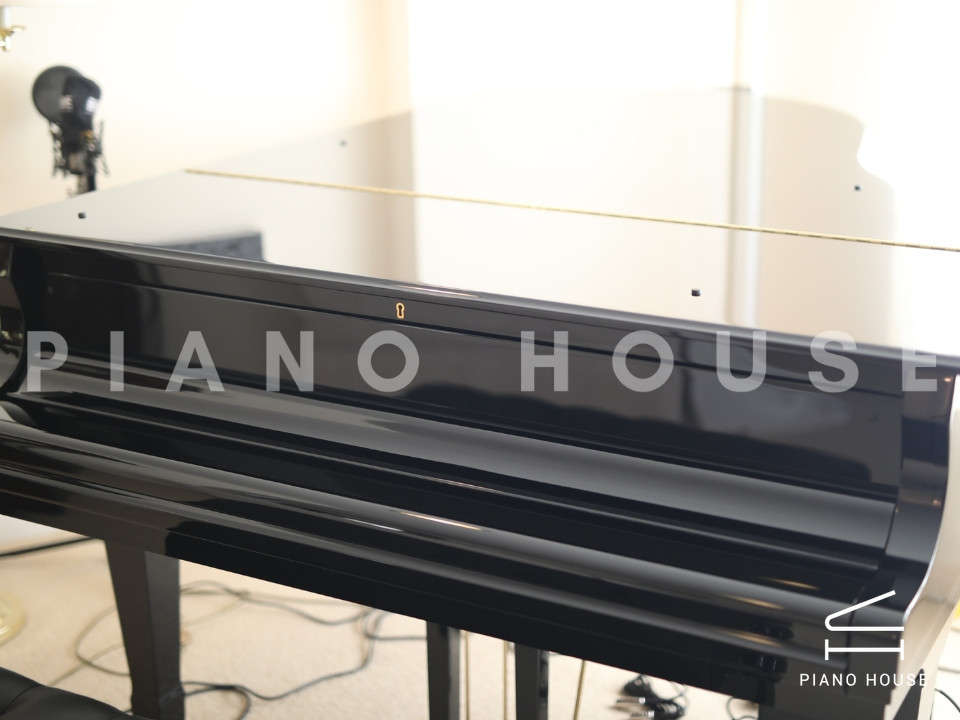 navy ostrich watch bands (4)