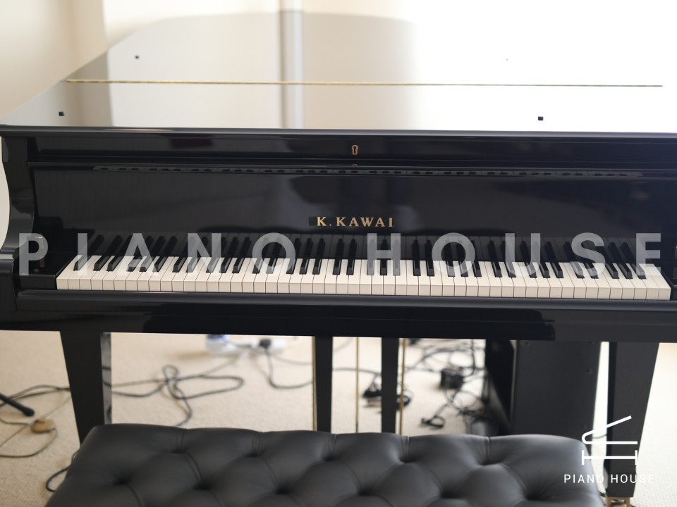 navy ostrich watch bands (4)