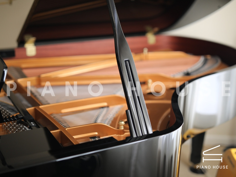 navy ostrich watch bands (4)