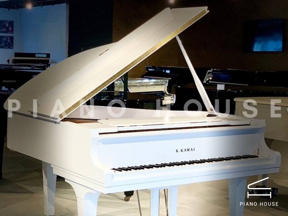 navy ostrich watch bands (4)