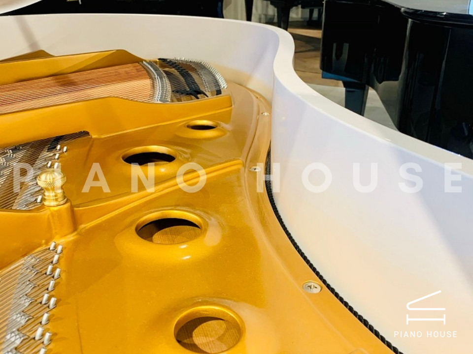 navy ostrich watch bands (4)