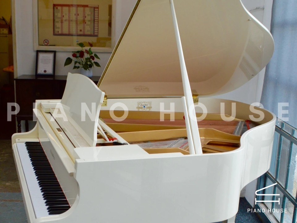 navy ostrich watch bands (4)