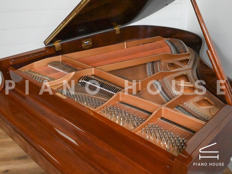 navy ostrich watch bands (4)