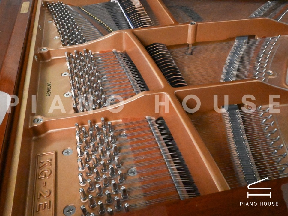 navy ostrich watch bands (4)