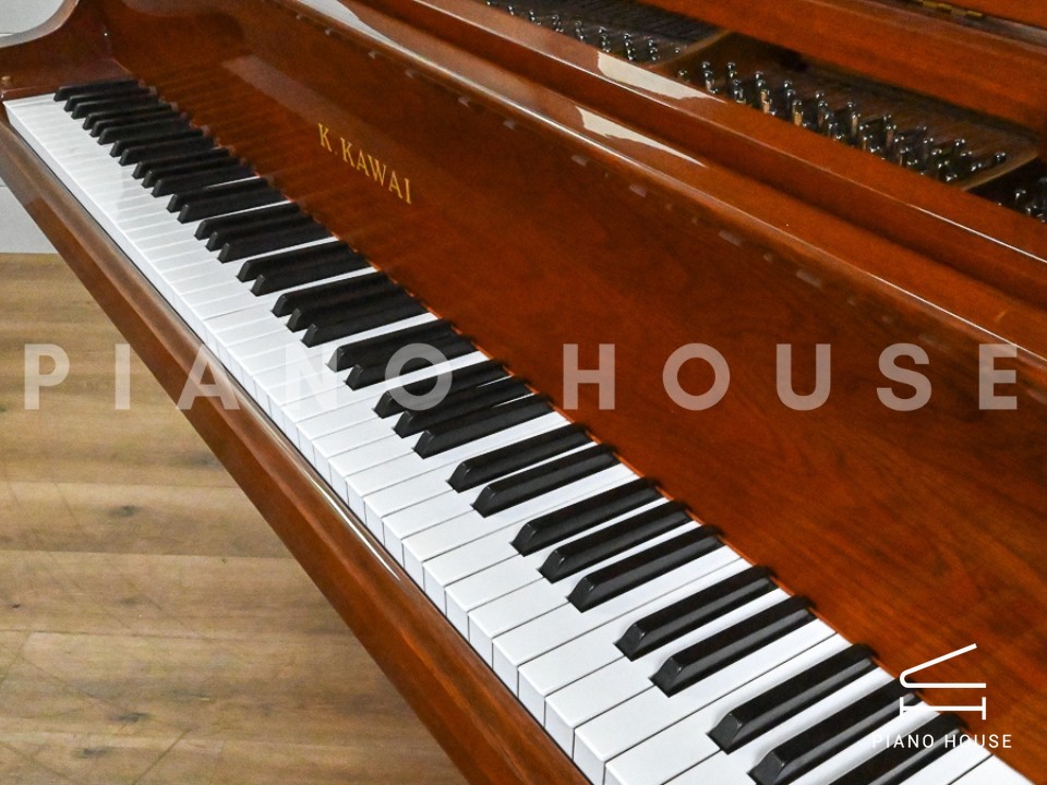 navy ostrich watch bands (4)