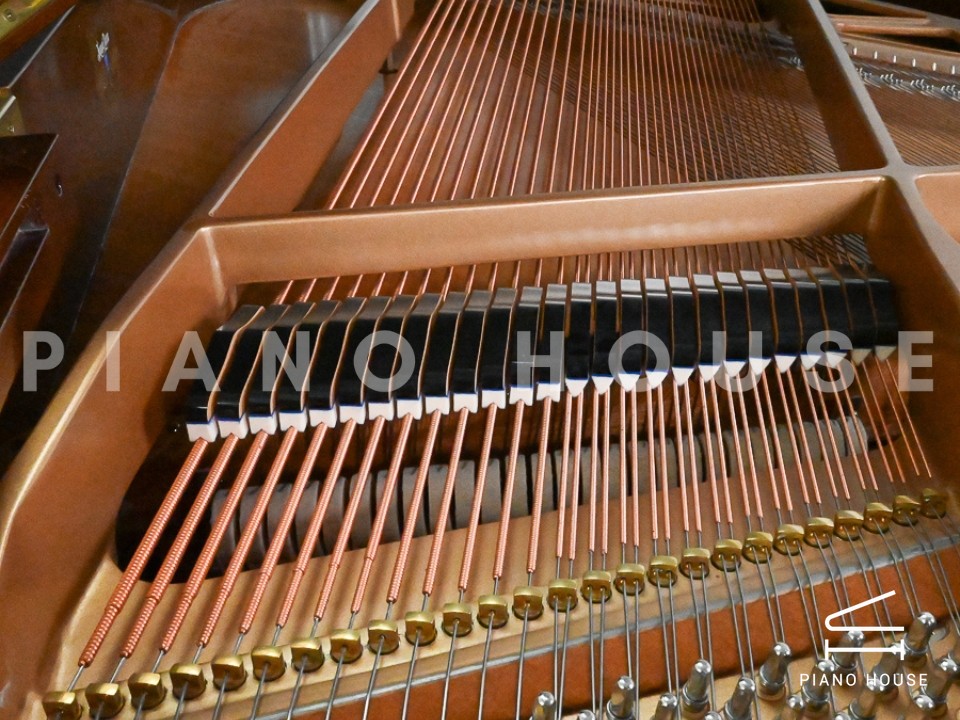 navy ostrich watch bands (4)