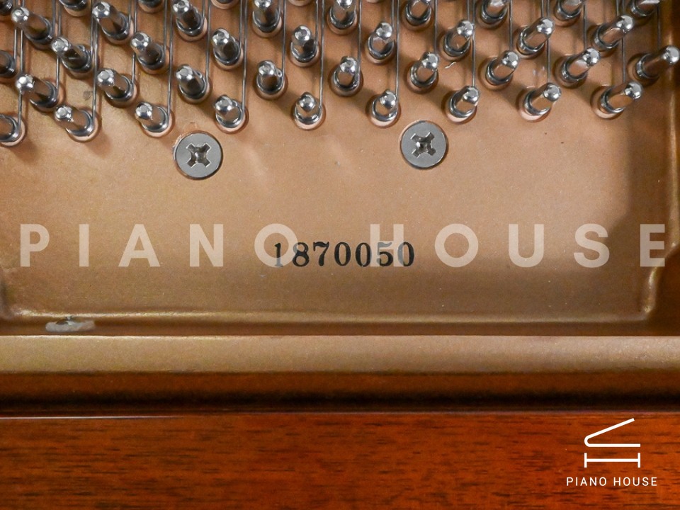 navy ostrich watch bands (4)