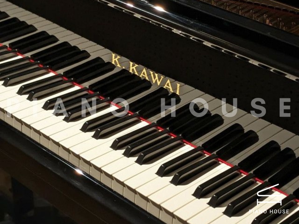 navy ostrich watch bands (4)