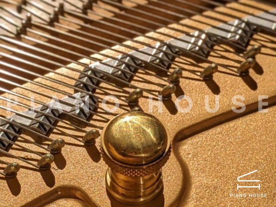 navy ostrich watch bands (4)