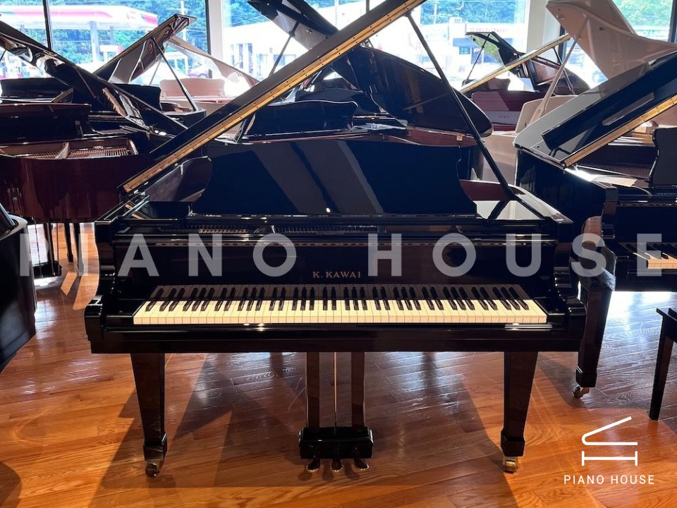 navy ostrich watch bands (4)