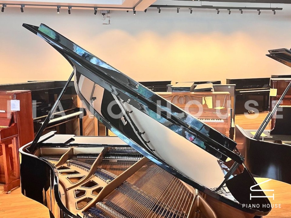 navy ostrich watch bands (4)