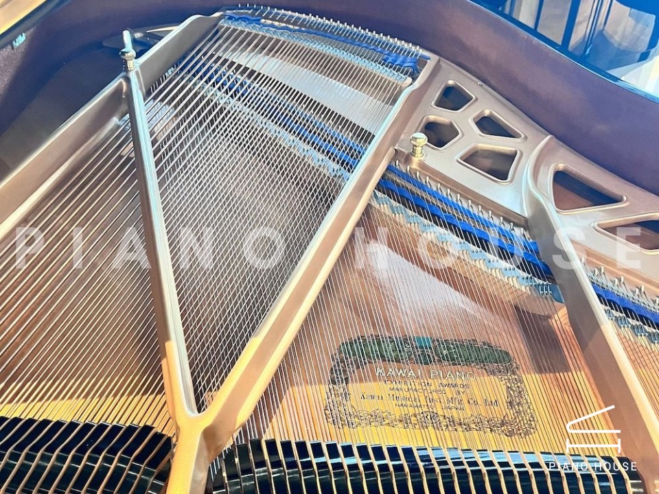 navy ostrich watch bands (4)