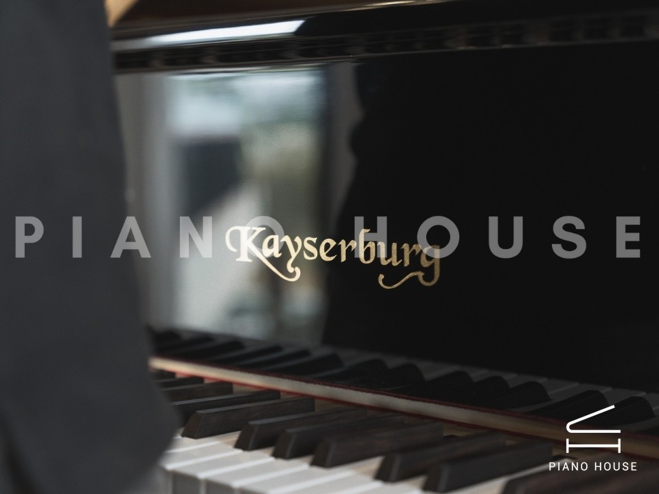 navy ostrich watch bands (4)