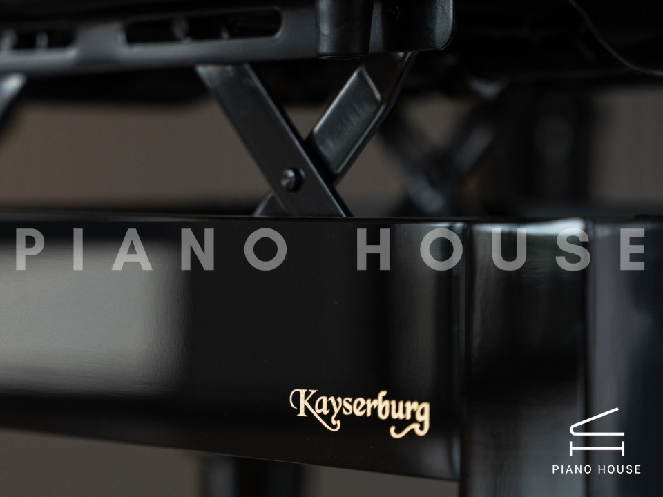 navy ostrich watch bands (4)