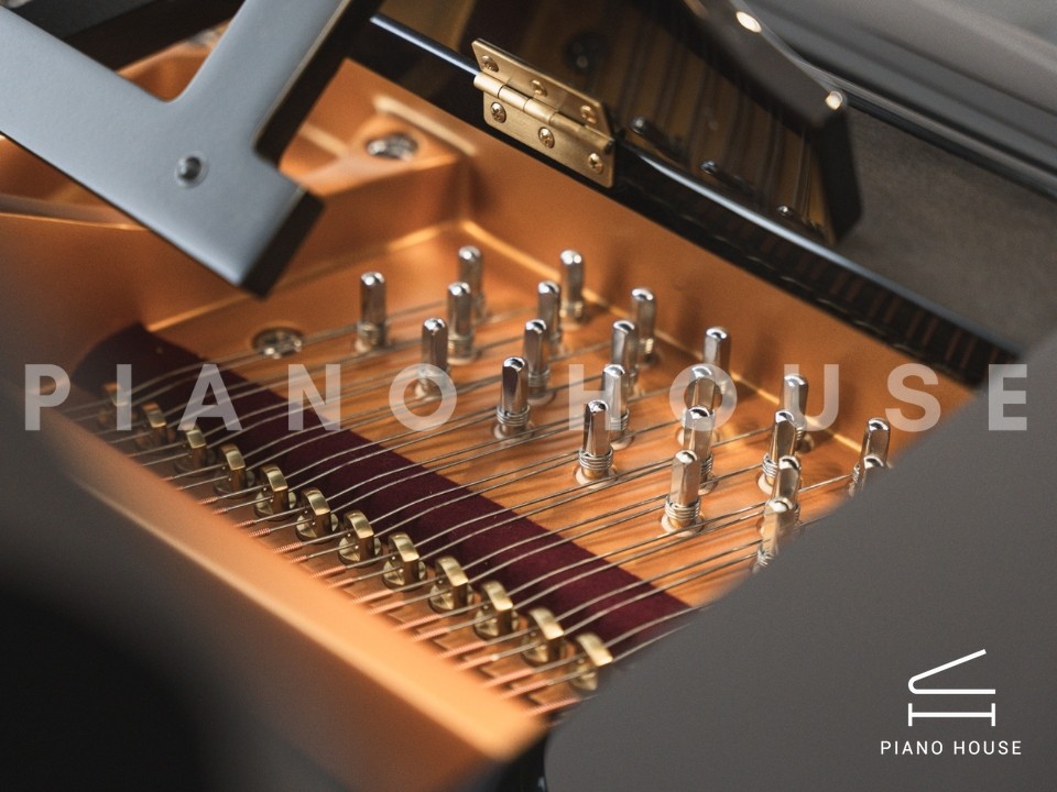 navy ostrich watch bands (4)