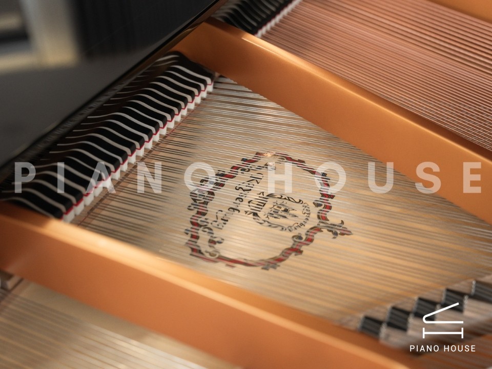 navy ostrich watch bands (4)