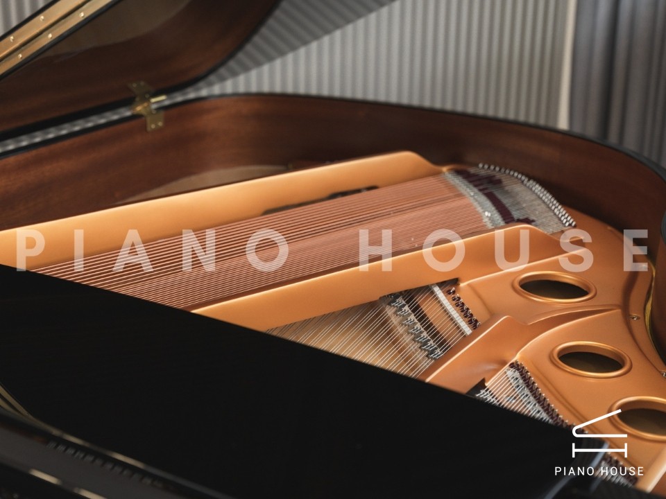 navy ostrich watch bands (4)