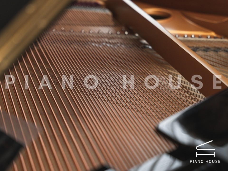 navy ostrich watch bands (4)