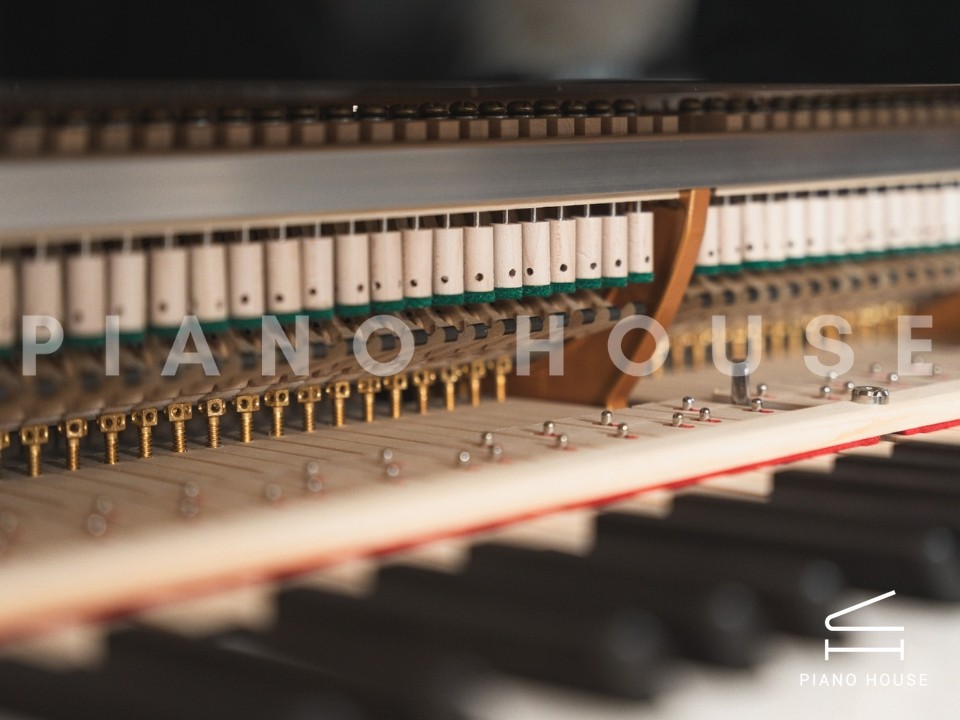 navy ostrich watch bands (4)