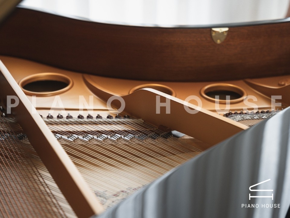 navy ostrich watch bands (4)