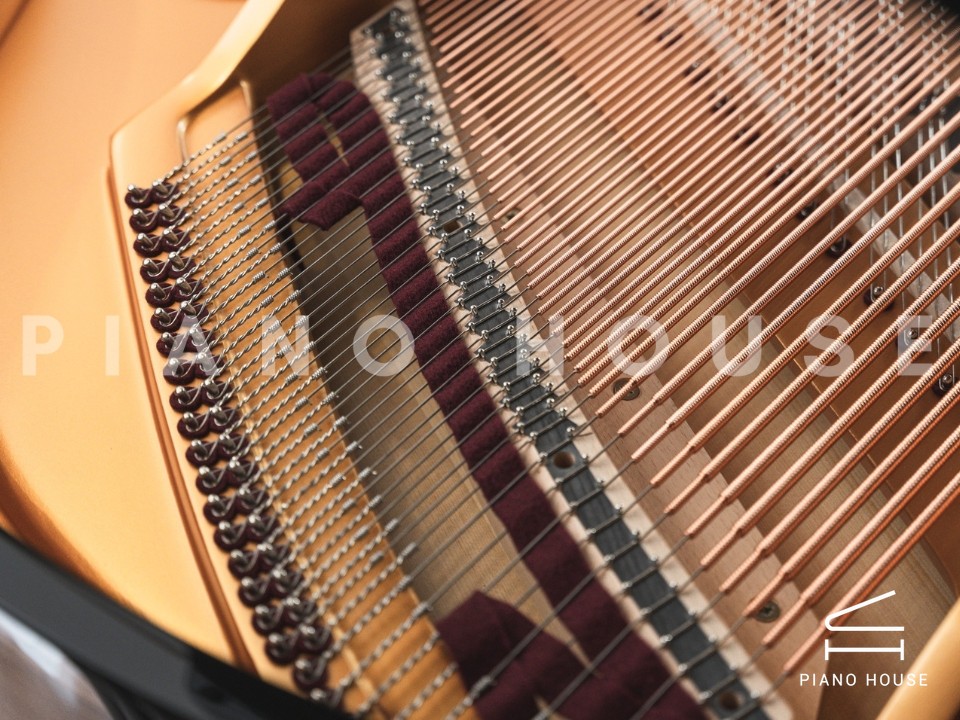 navy ostrich watch bands (4)