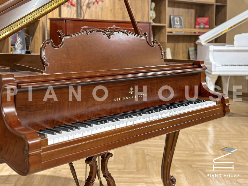 navy ostrich watch bands (4)