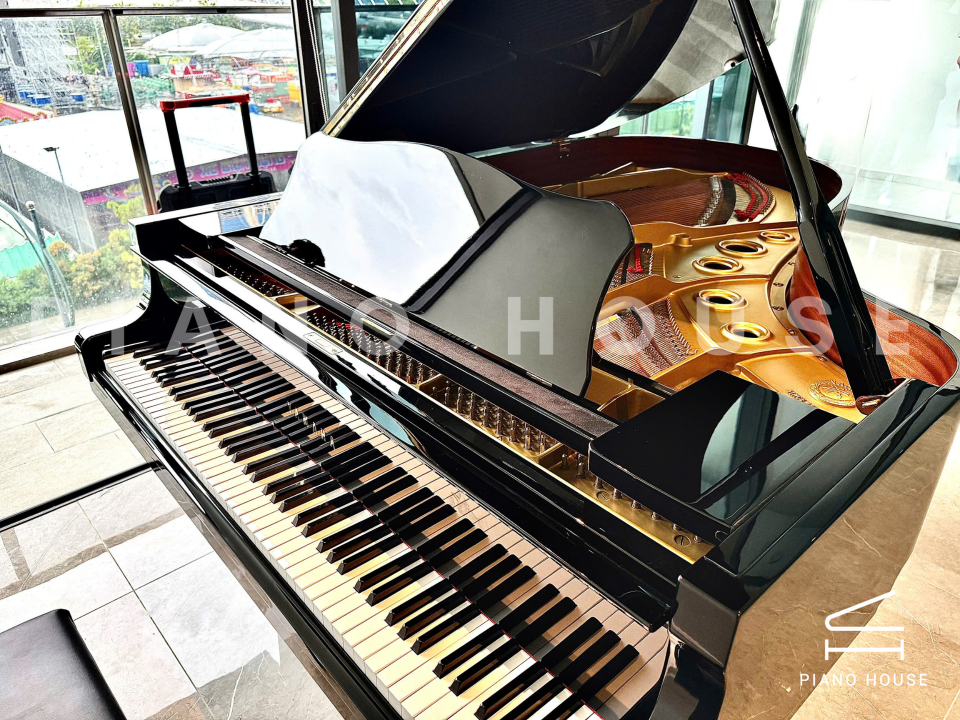 navy ostrich watch bands (4)