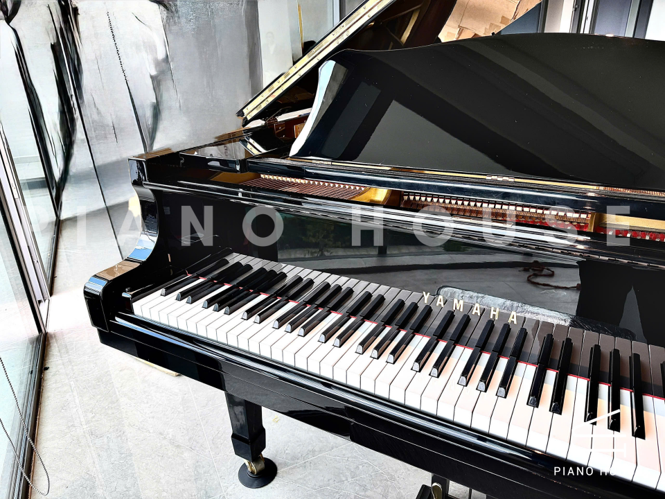 navy ostrich watch bands (4)