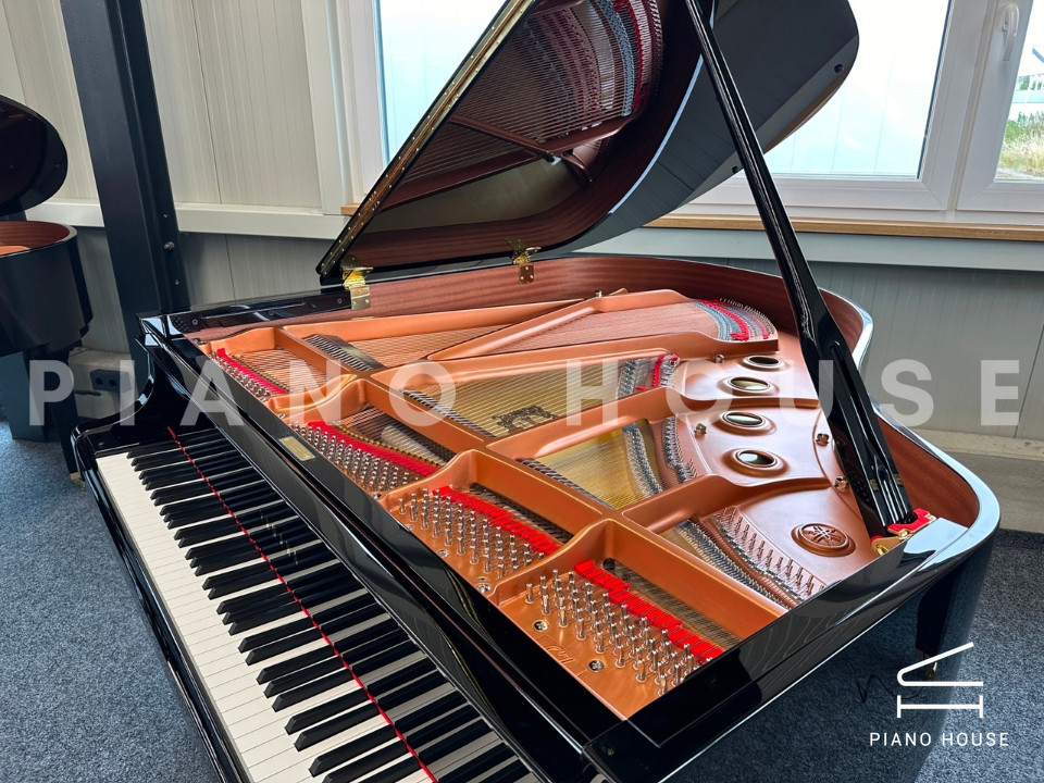 navy ostrich watch bands (4)