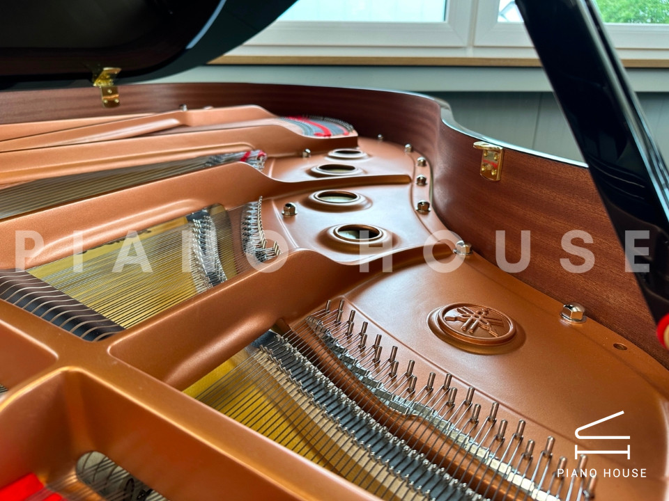 navy ostrich watch bands (4)