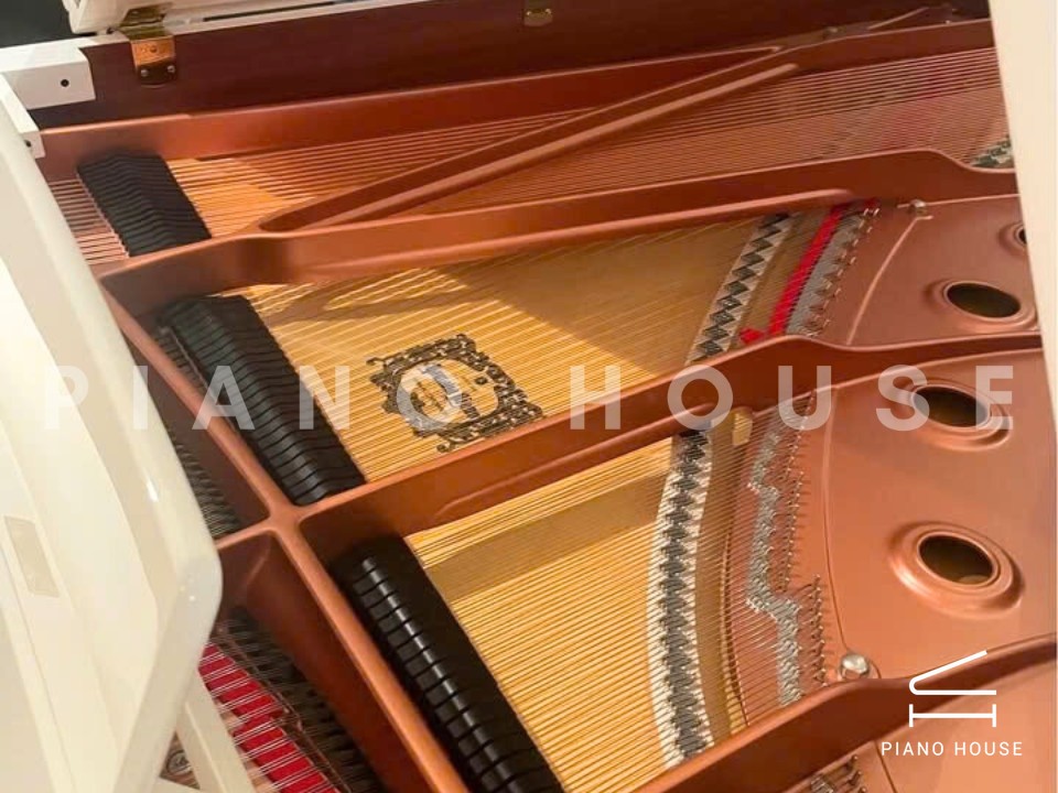 navy ostrich watch bands (4)