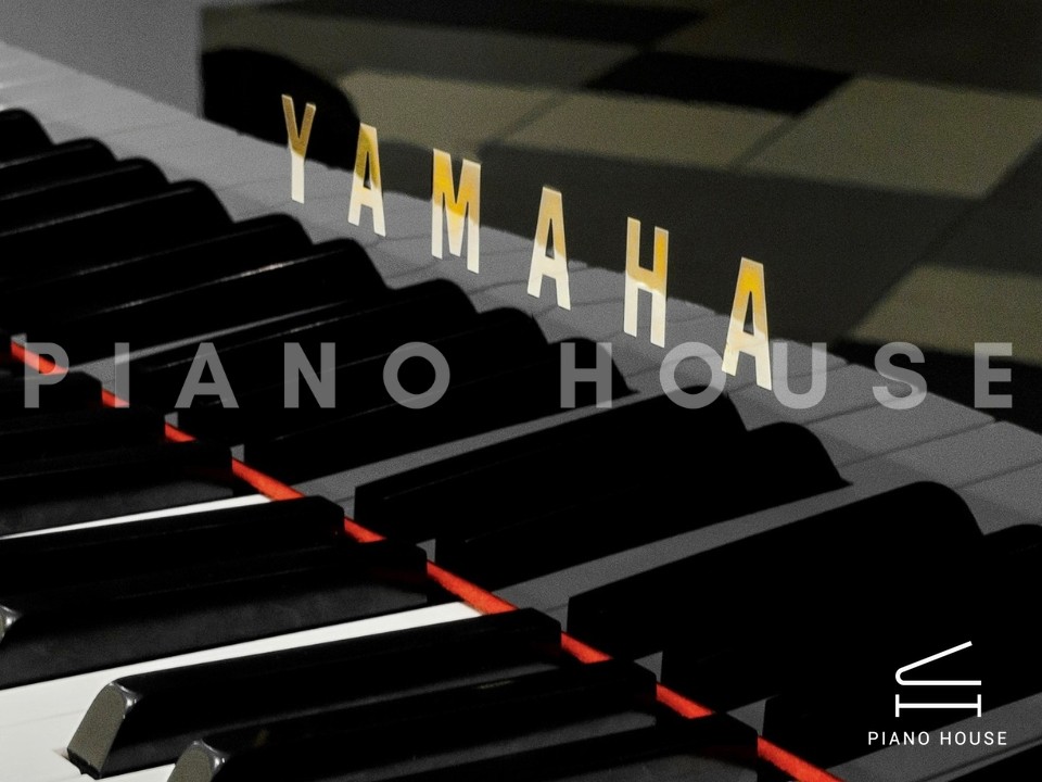 navy ostrich watch bands (4)