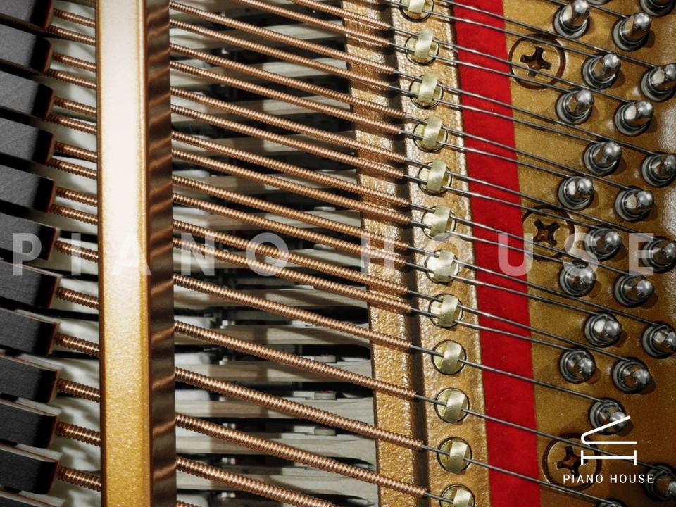 navy ostrich watch bands (4)