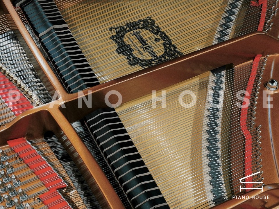 navy ostrich watch bands (4)